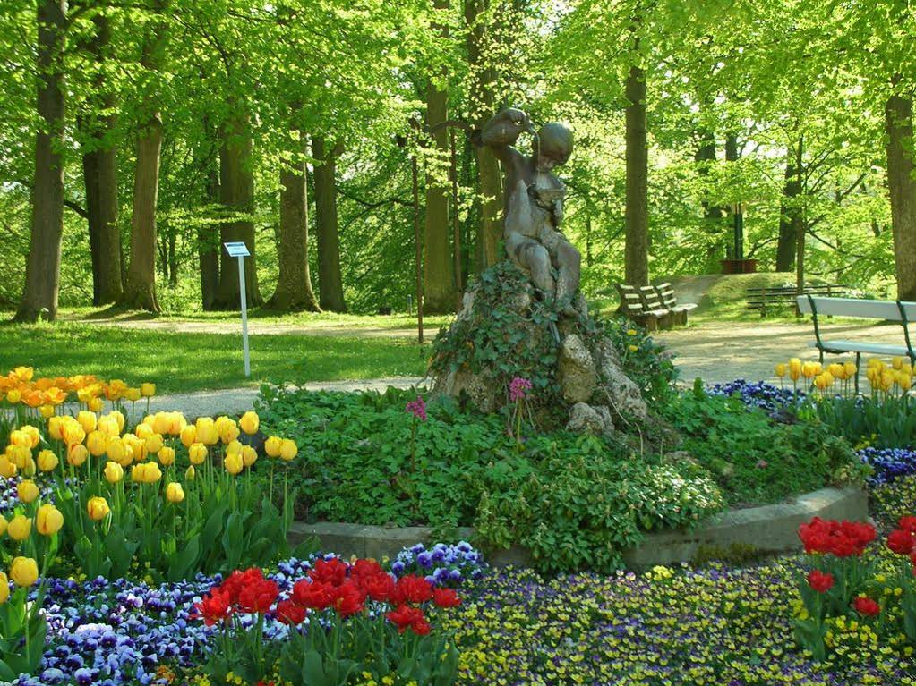 Hallerhof