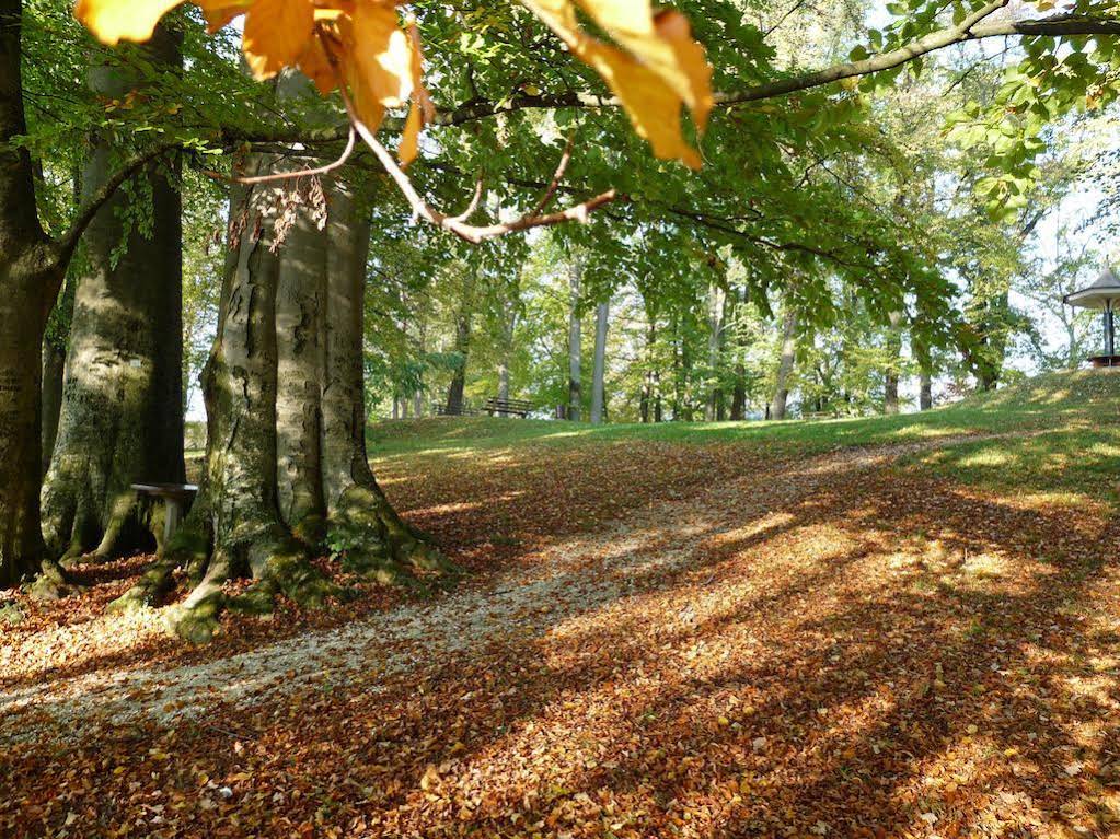 Parkhotel Zur Klause