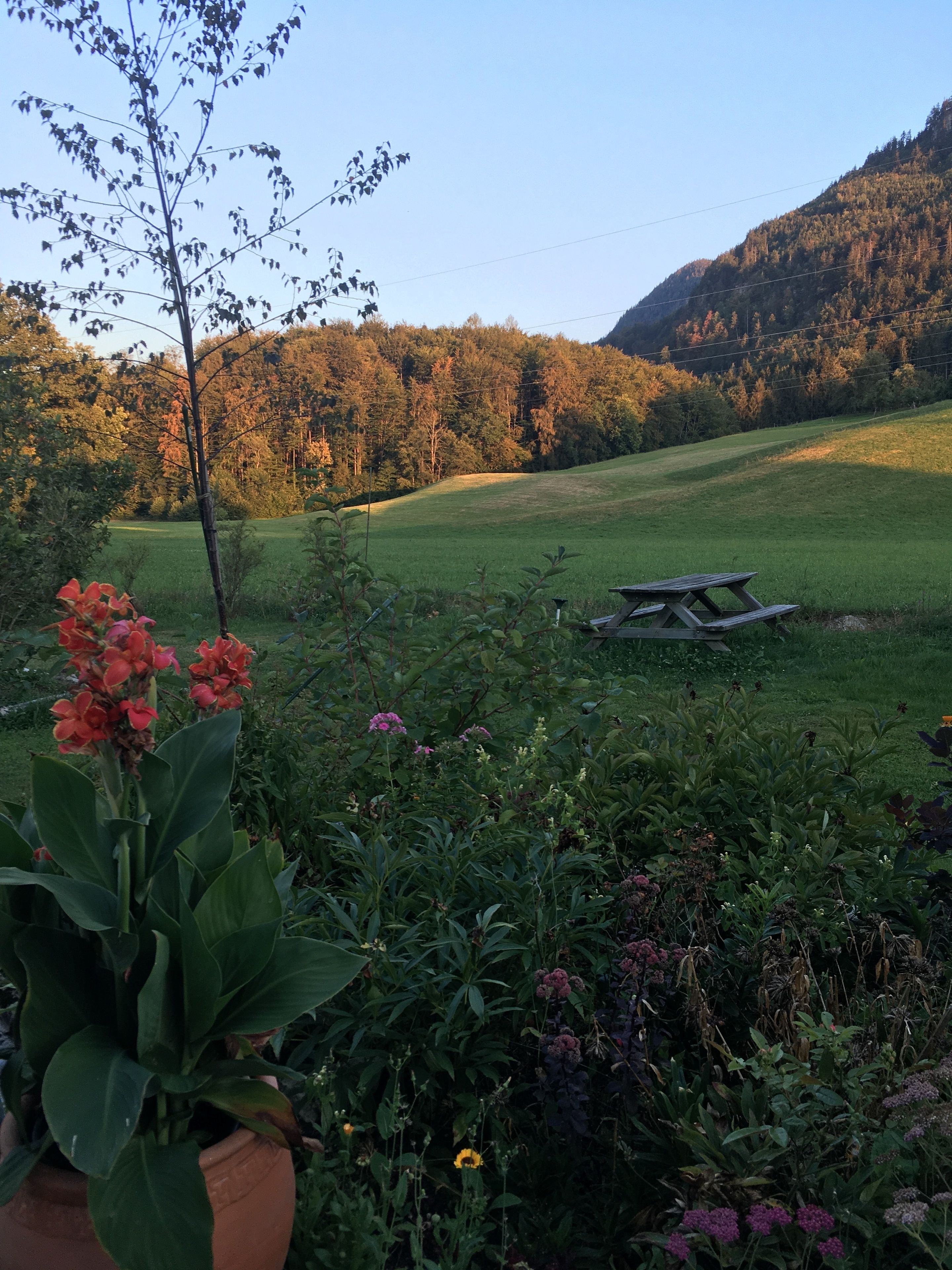 Landlust Ischl