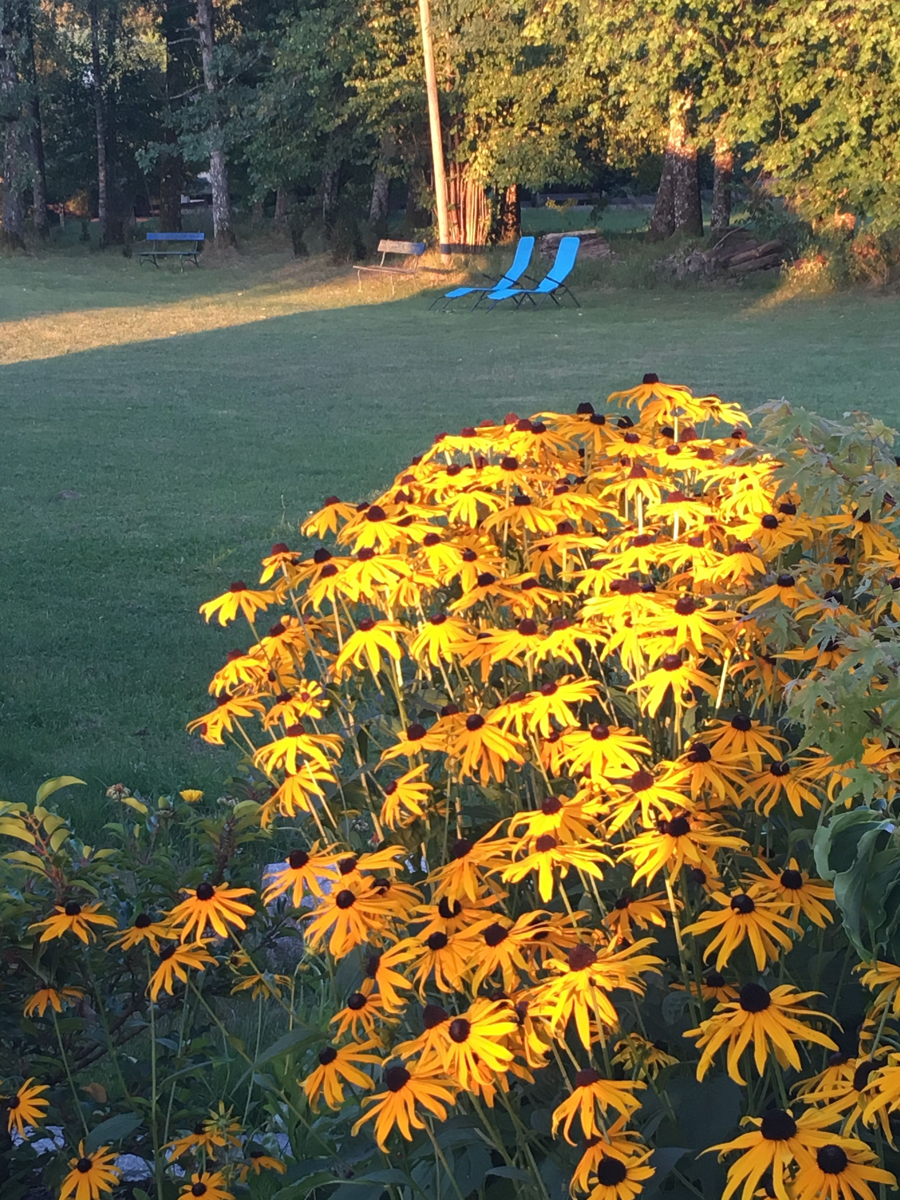 Landlust Ischl