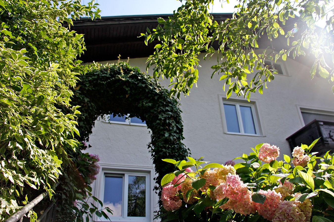 Pan Haus