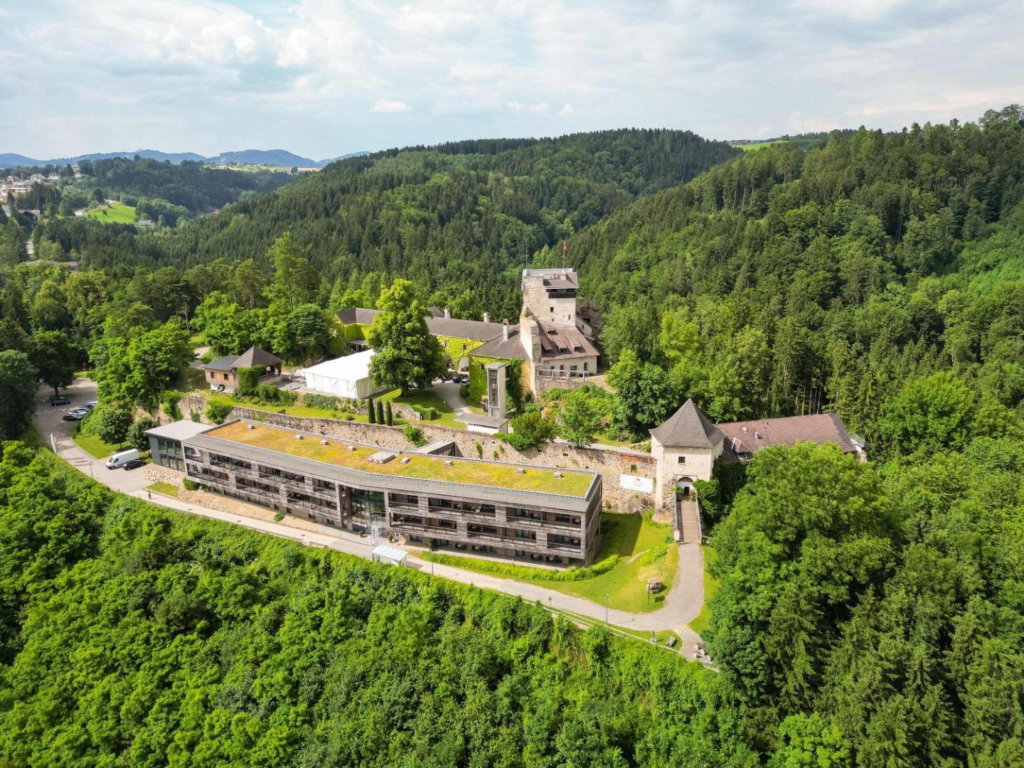 Schatz.Kammer - Burg Kreuzen
