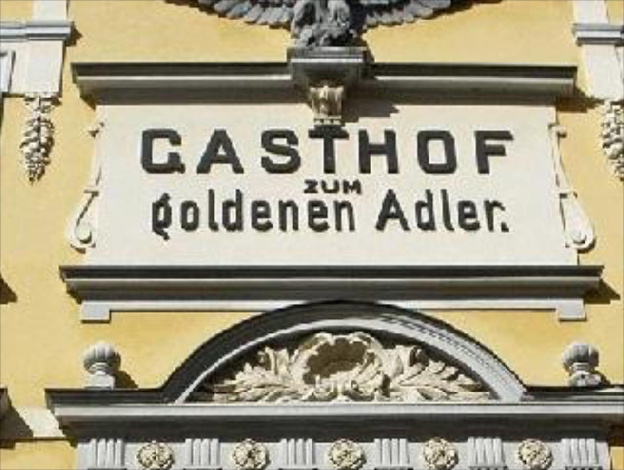 Goldener Adler