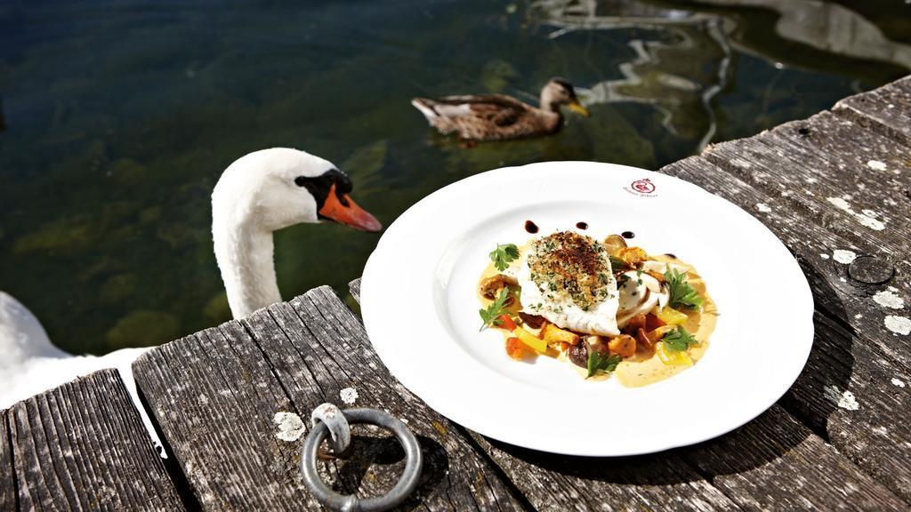 Seehotel Schwan