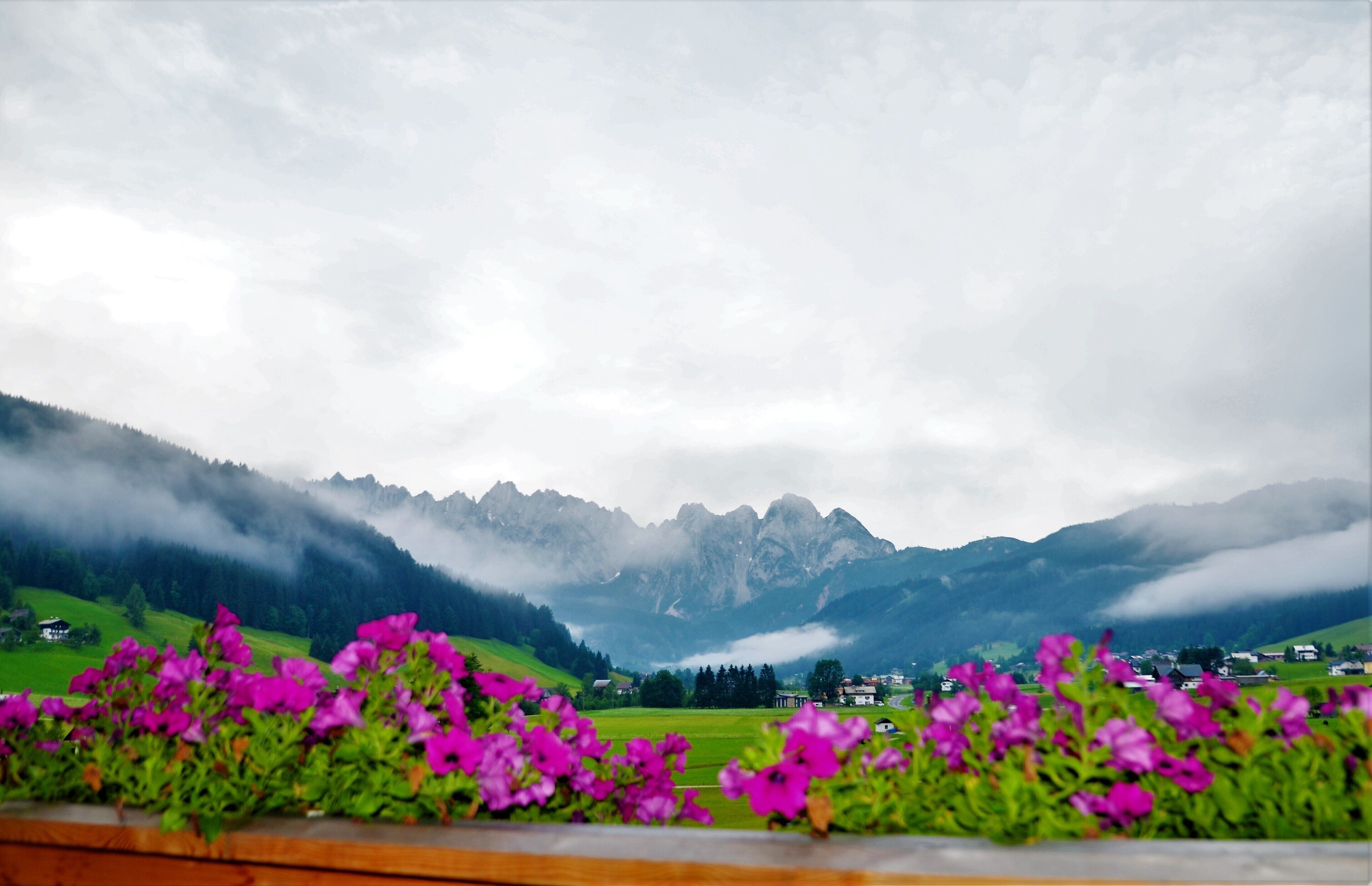 COOEE alpin Hotel Dachstein