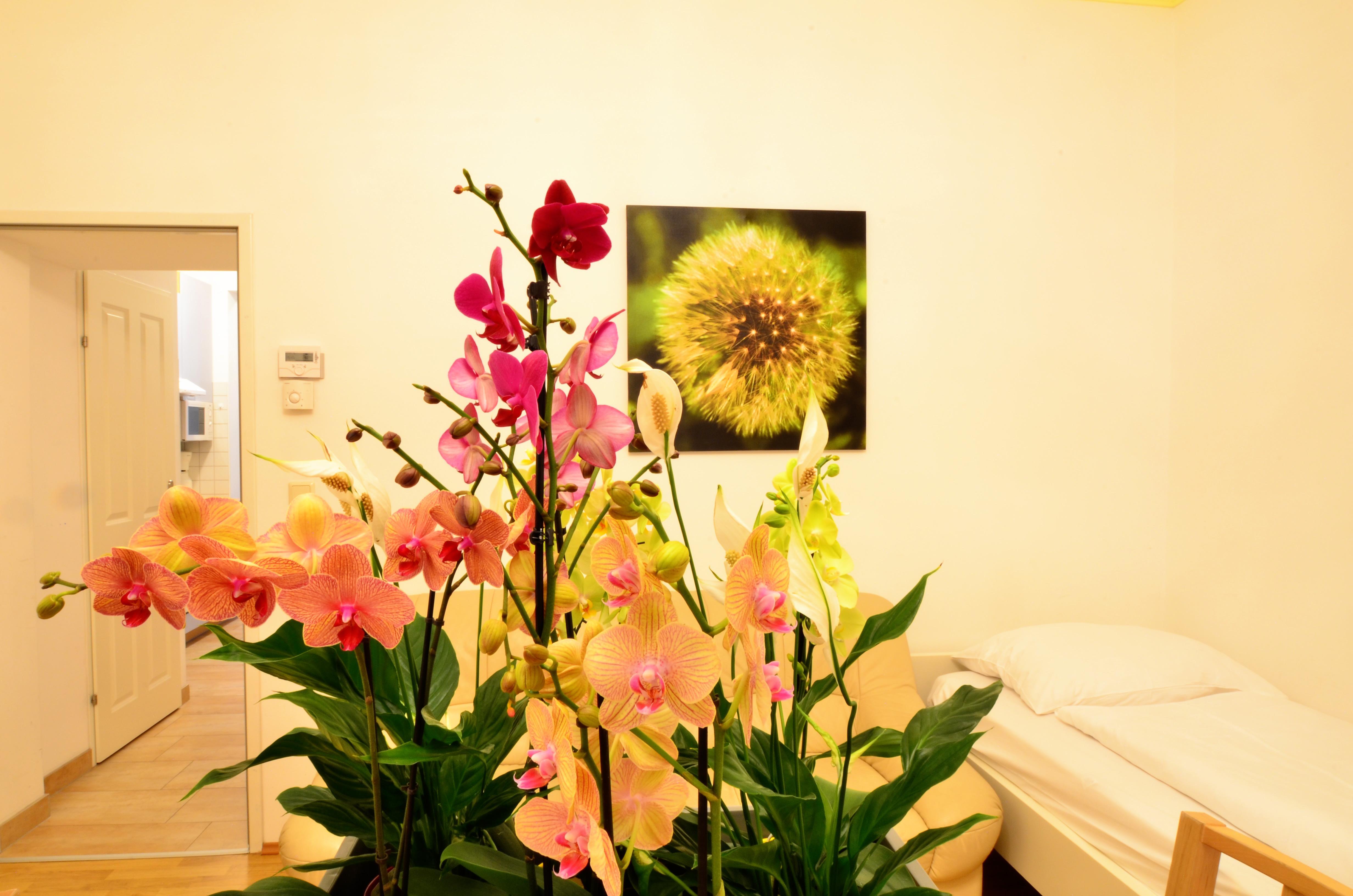 AJO Vienna Apartements & Residences