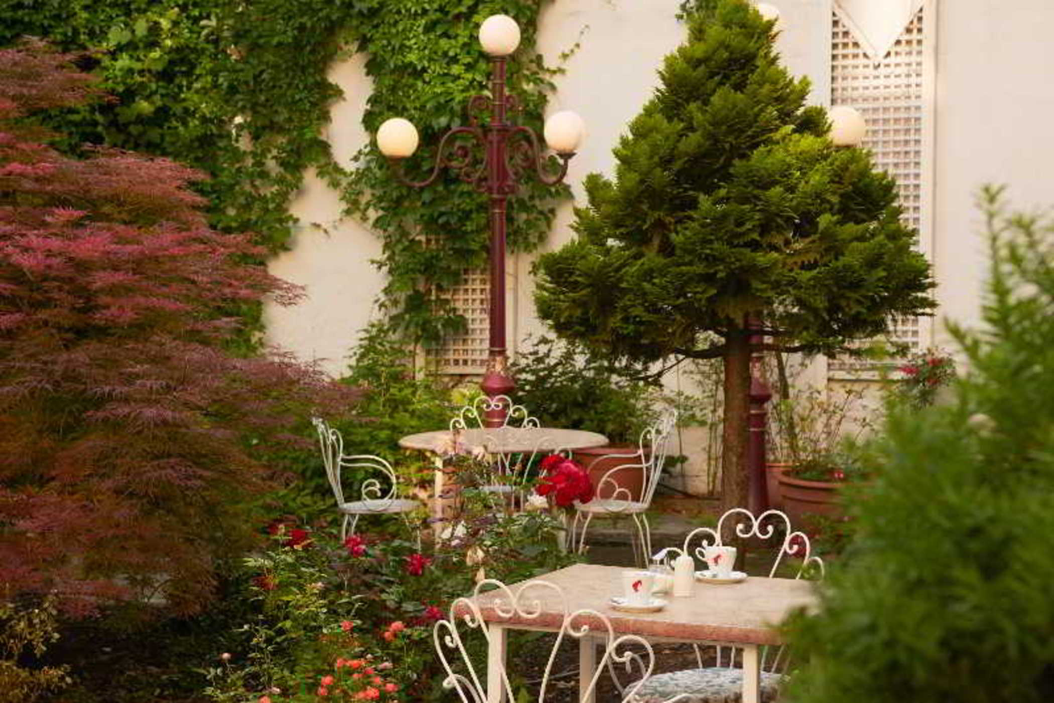 Hotel Viki