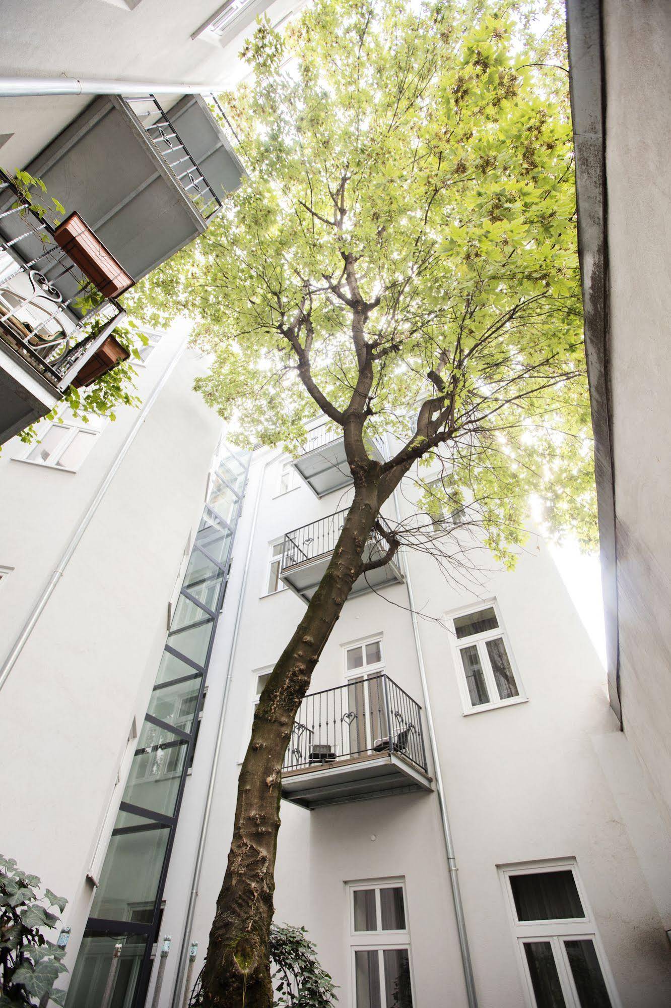 Hahn Apartment