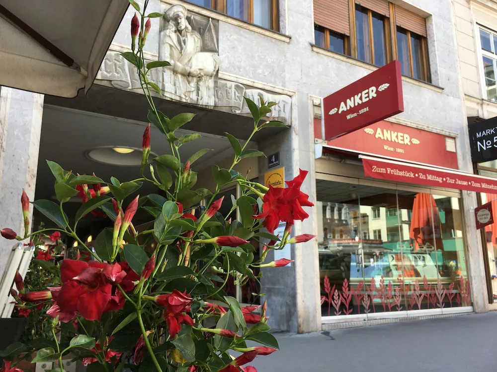 Heart of Vienna Homes