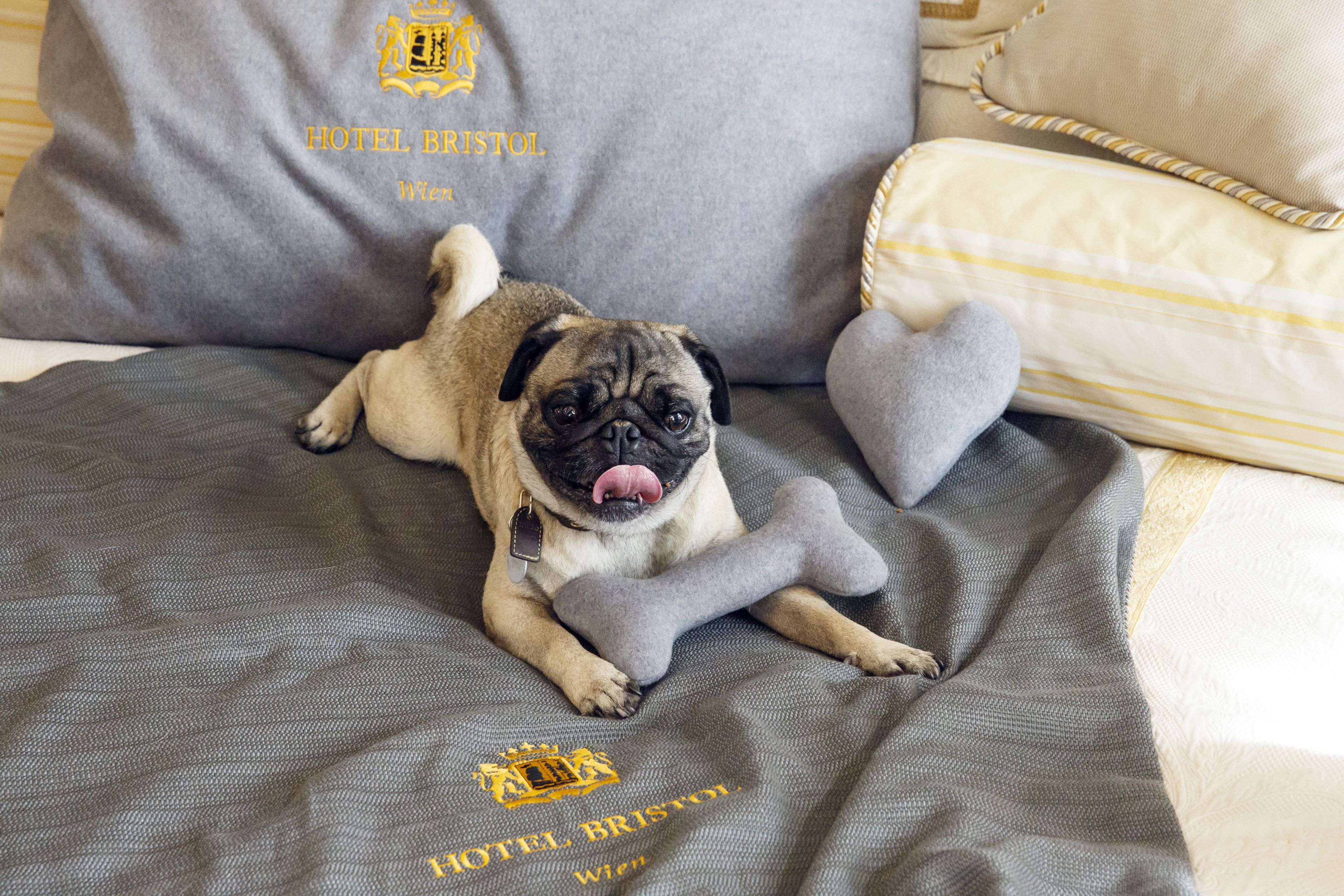 Hotel Bristol, a Luxury Collection Hotel, Wien
