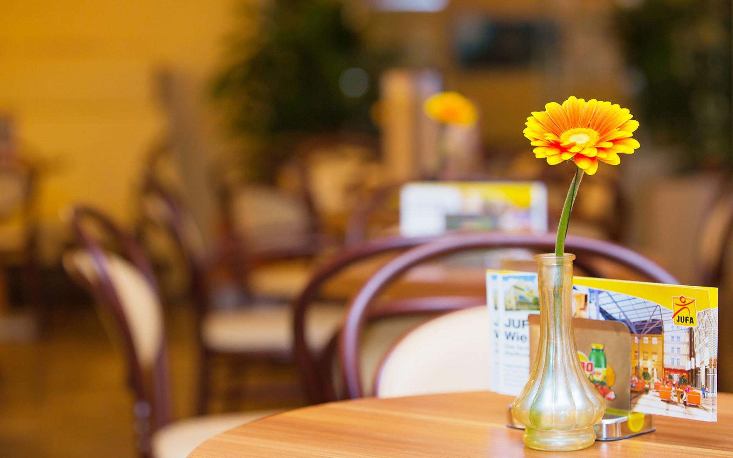JUFA Hotel Wien City
