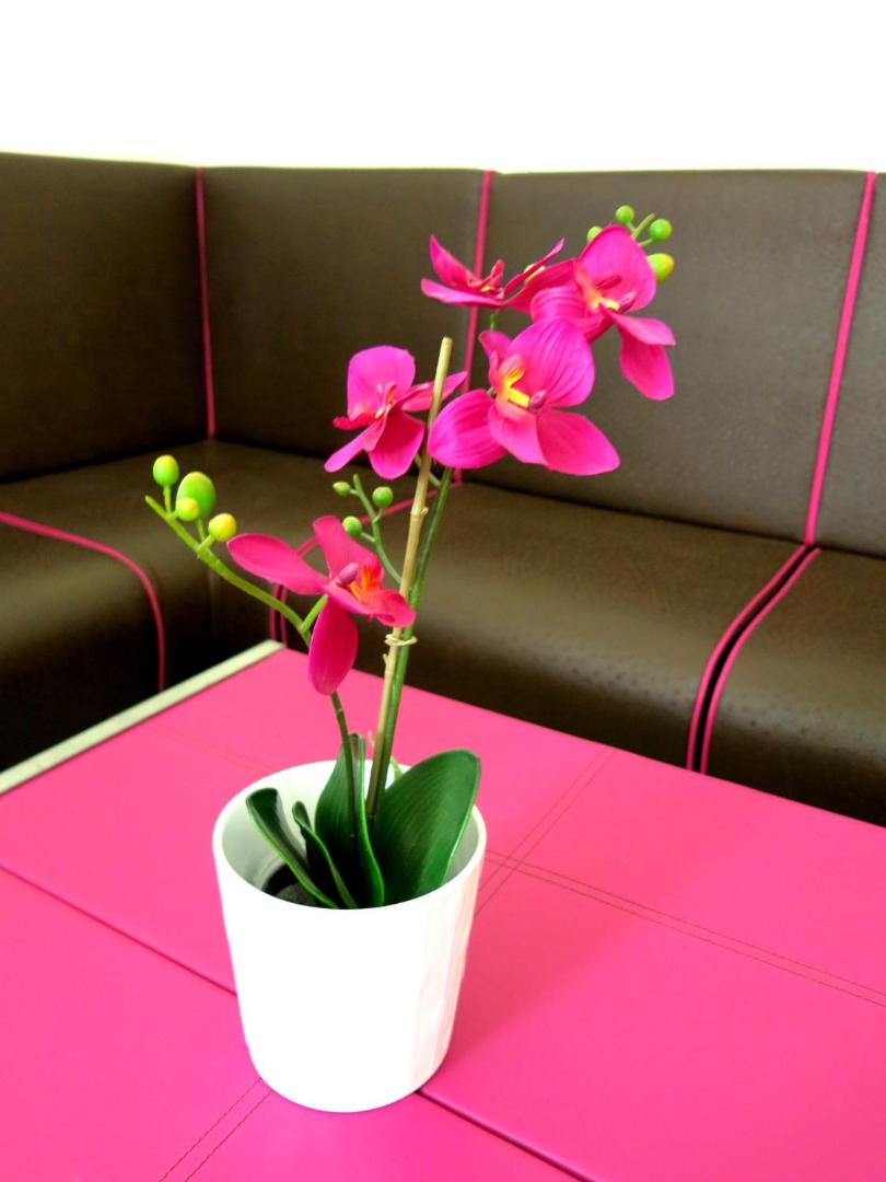 Kibi Rooms
