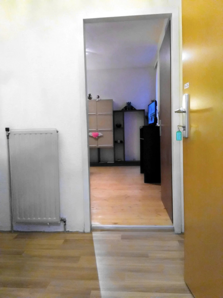 Mts Immobilien