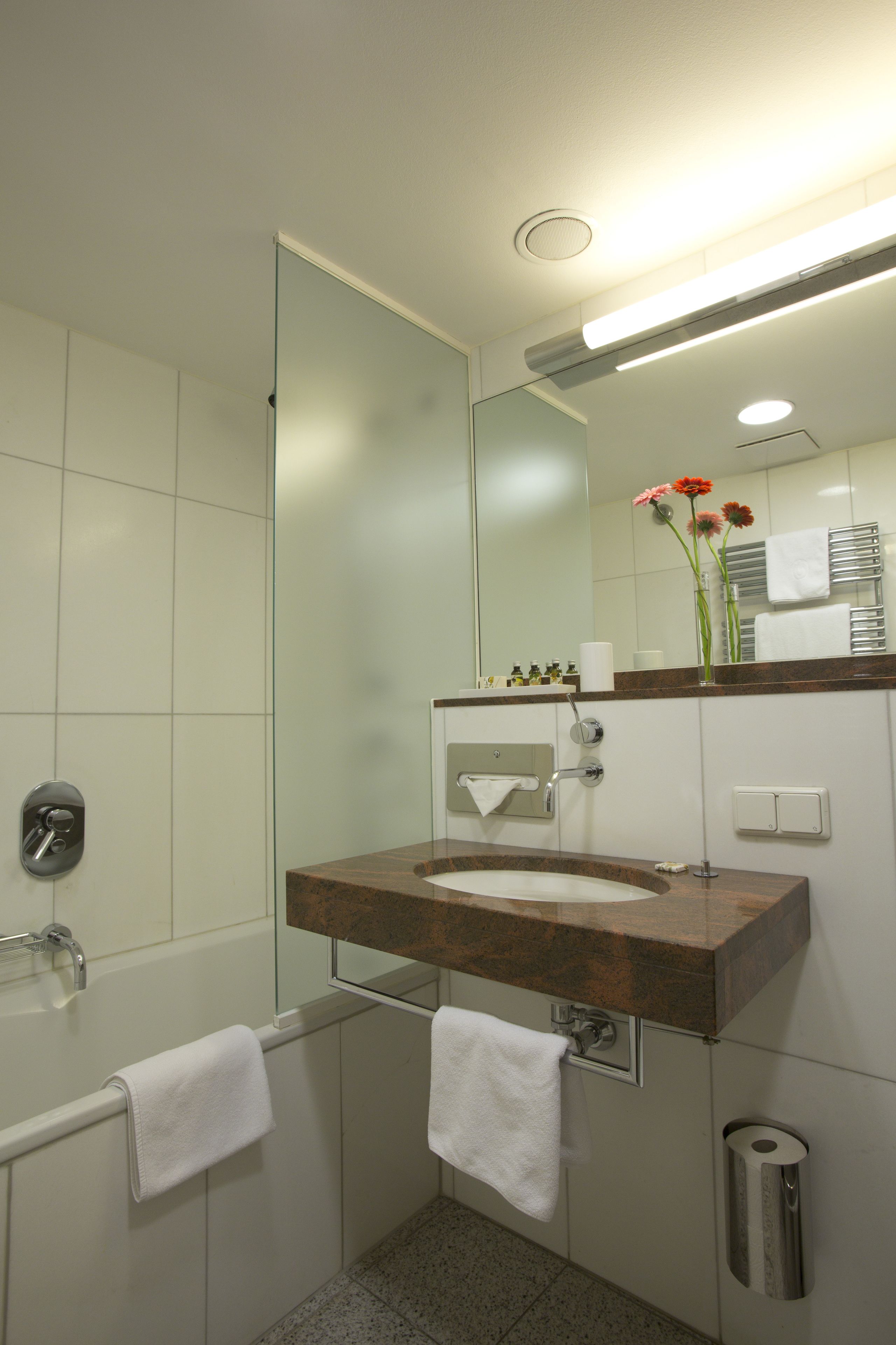 Appartement-Hotel an der Riemergasse