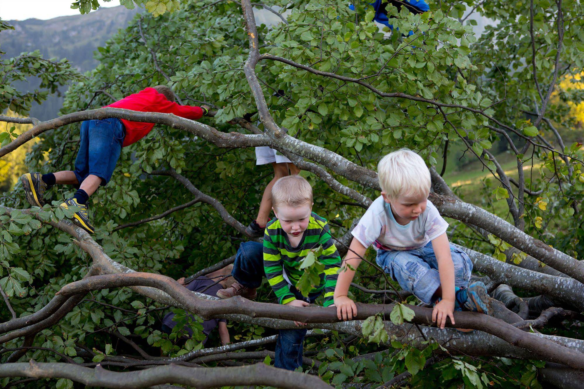 Sonne Bezau – Familotel Bregenzerwald