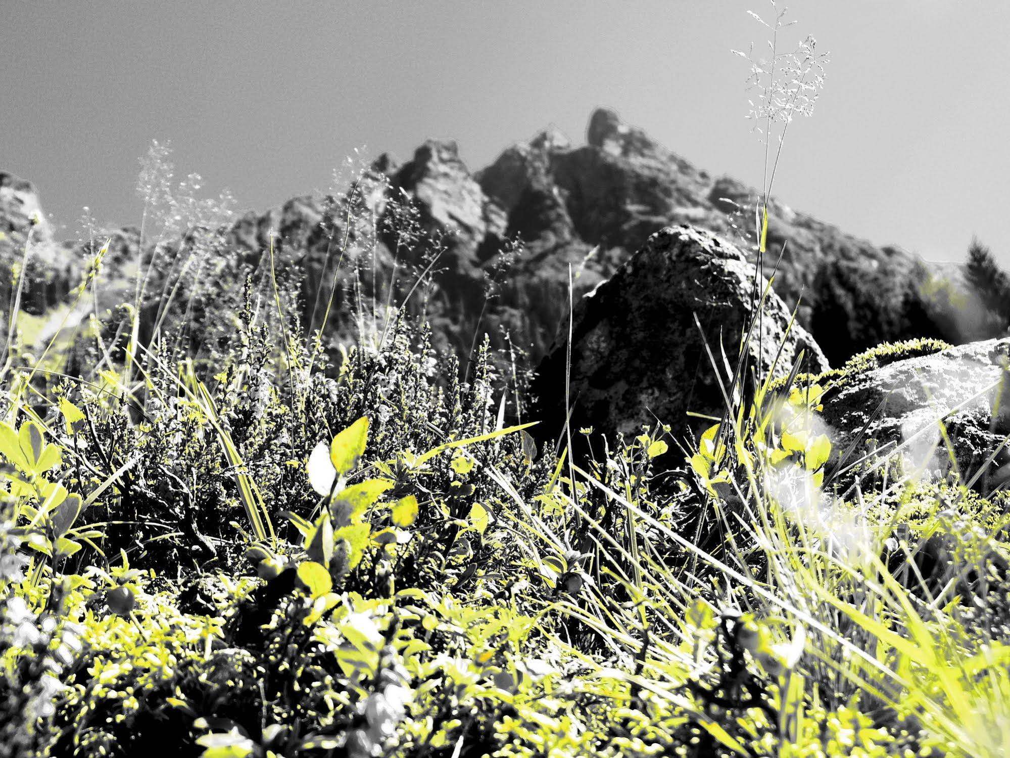 Sport & Vitalhotel Bachmann