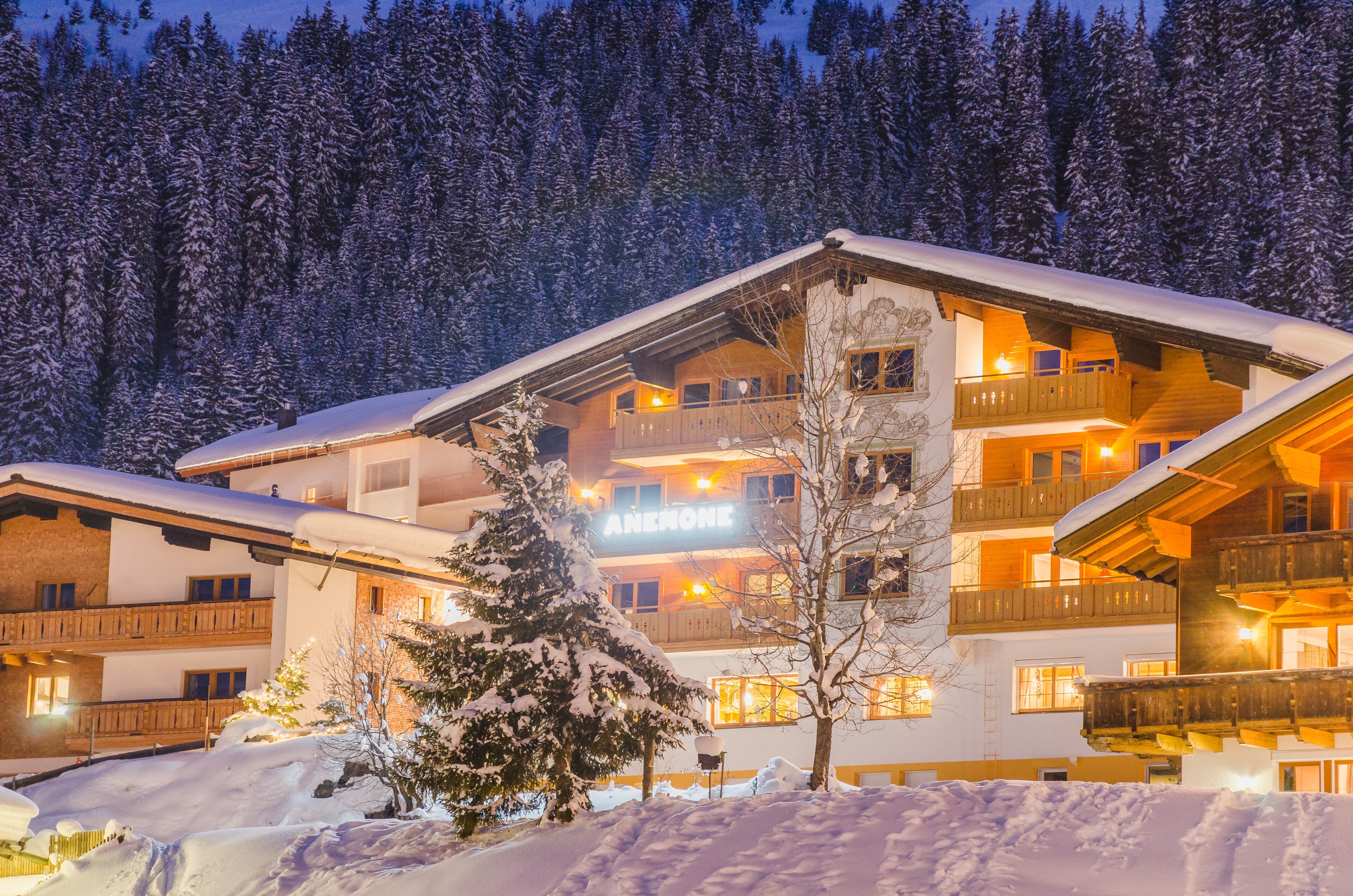 Hotel Anemone