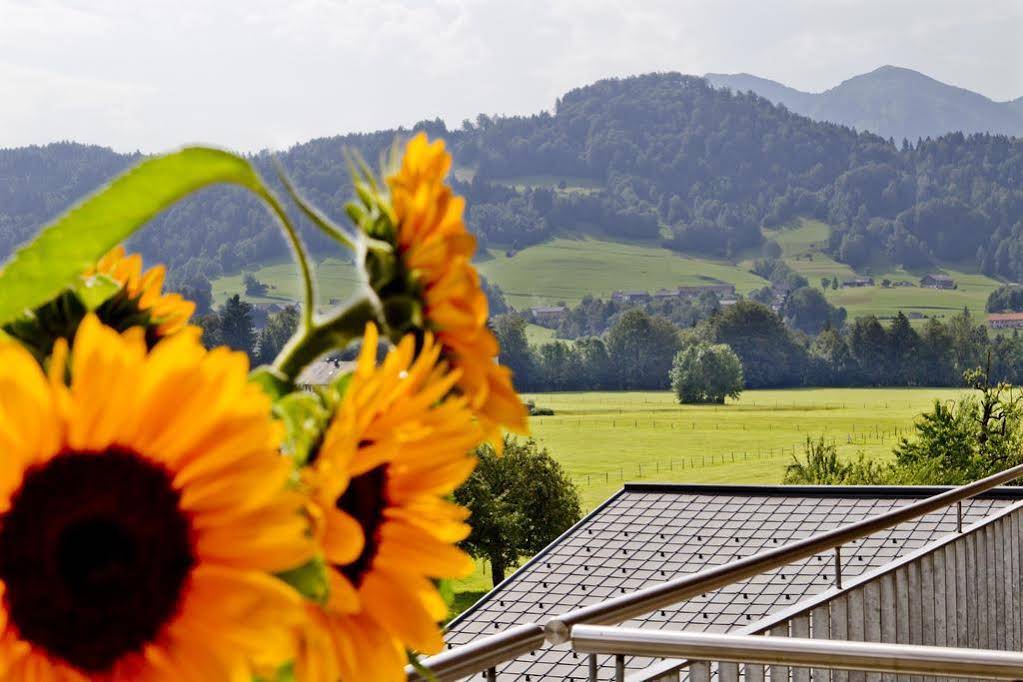 Hotel Gasthof Zum Löwen