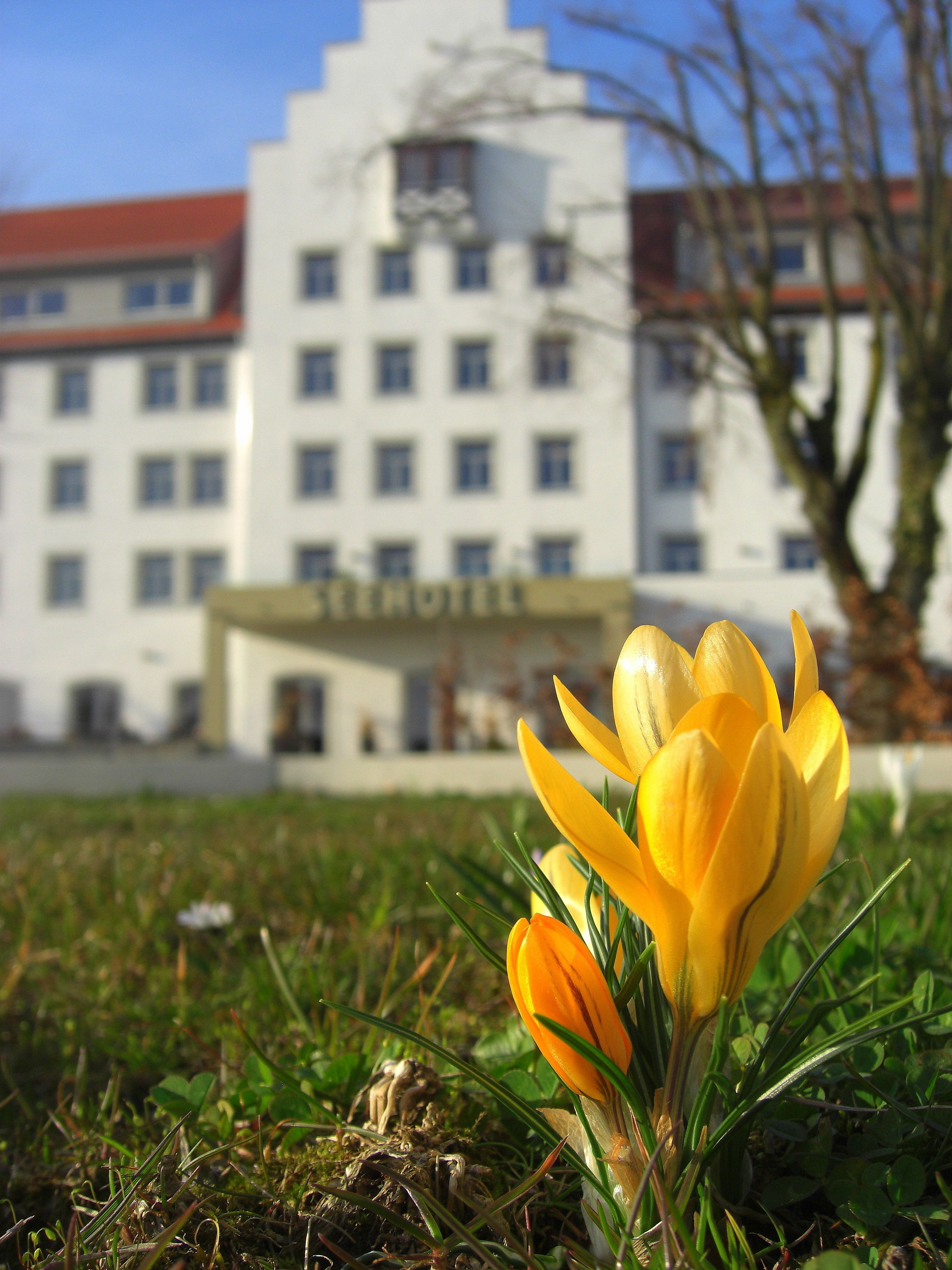Seehotel am Kaiserstrand
