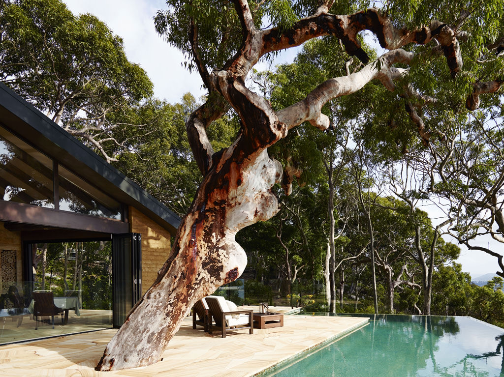 Pretty Beach House