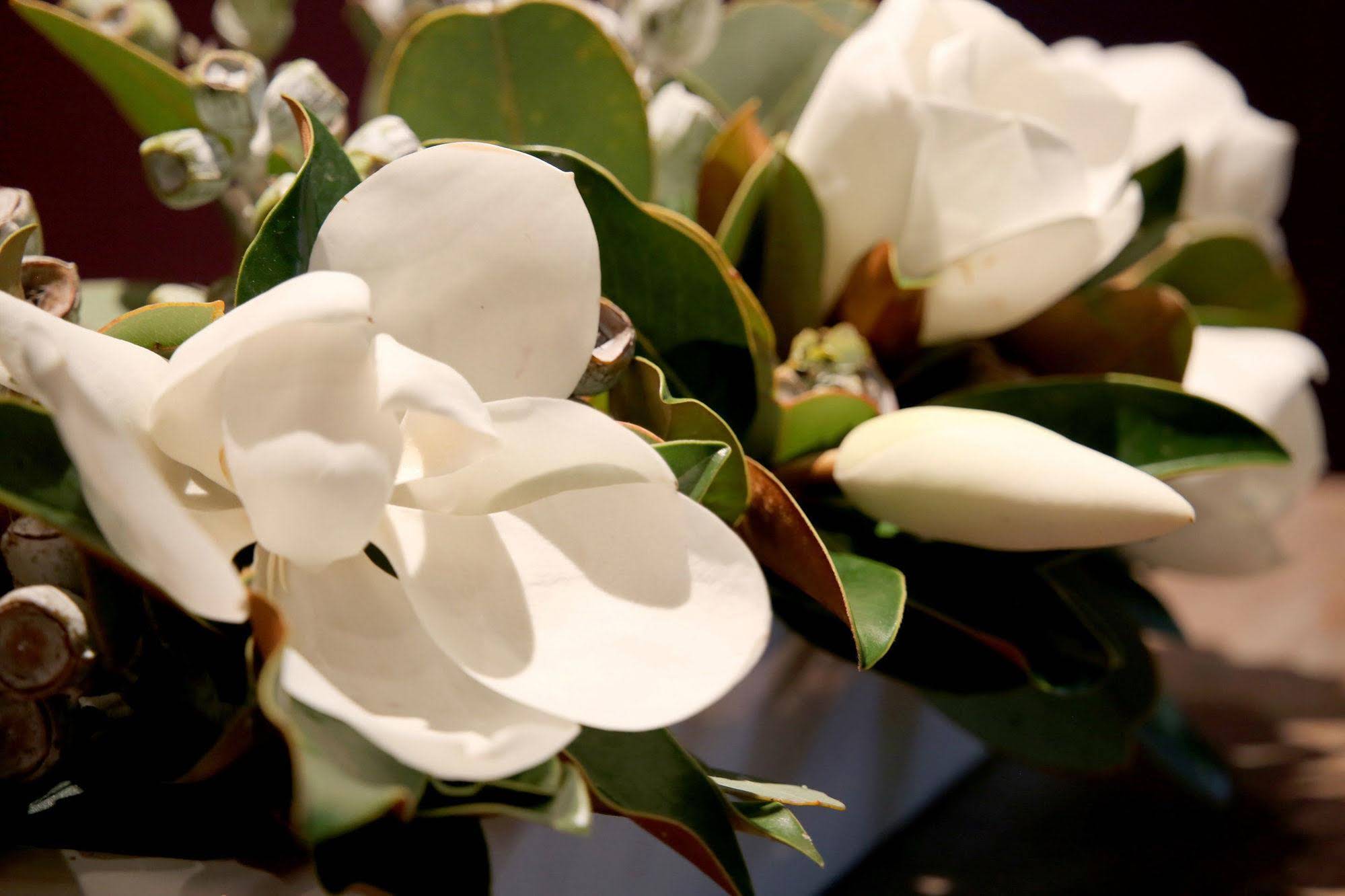 Cosmo Motel Adamstown