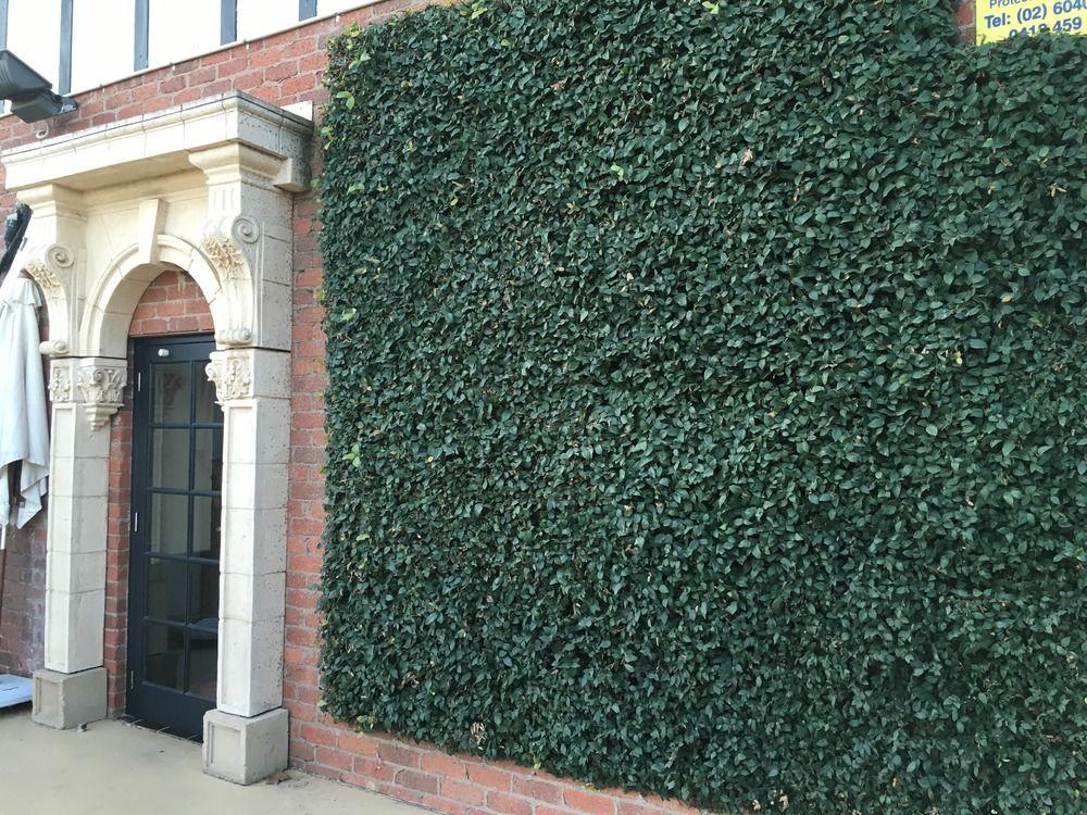 Albury Manor House