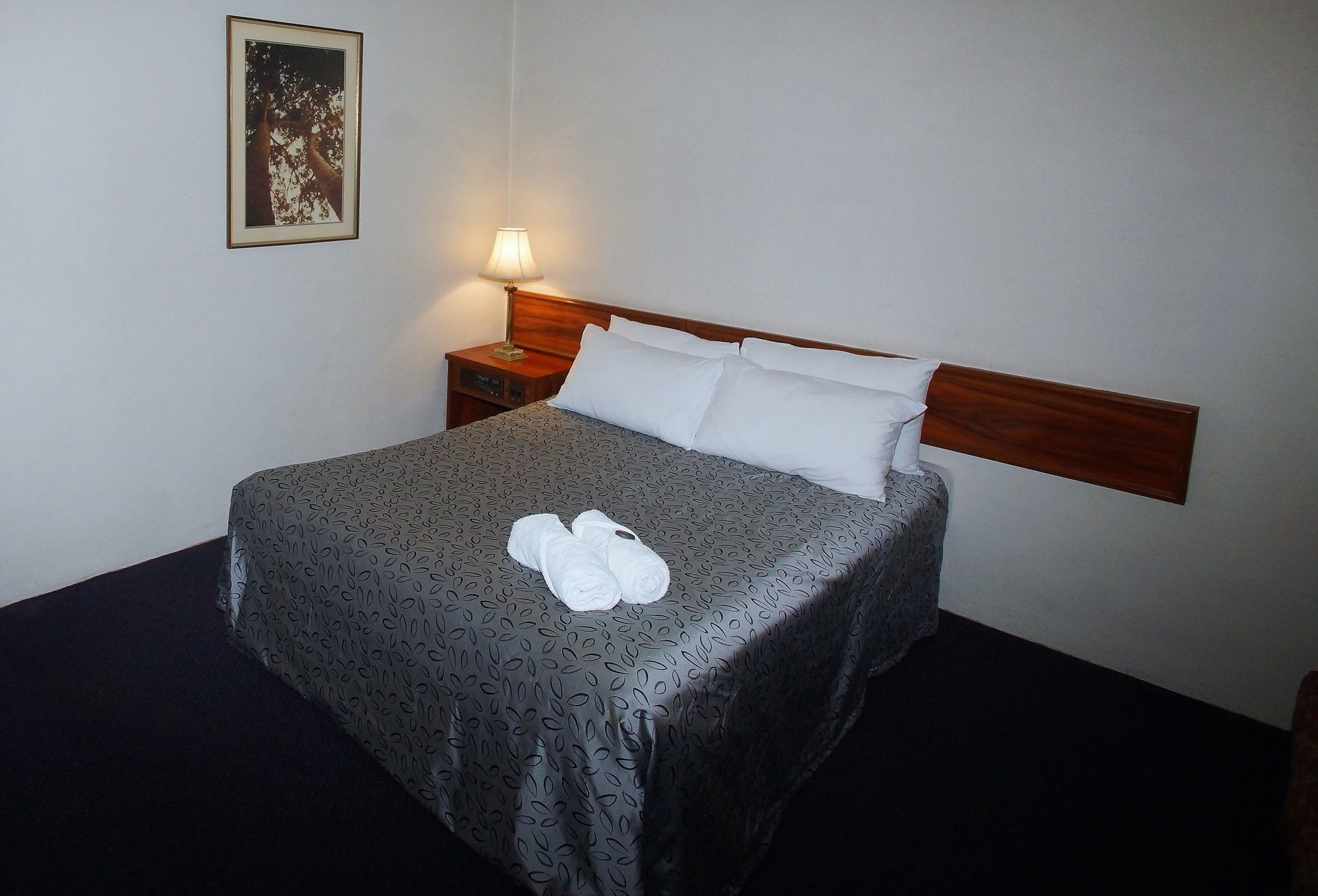 Seaton Arms Motor Inn