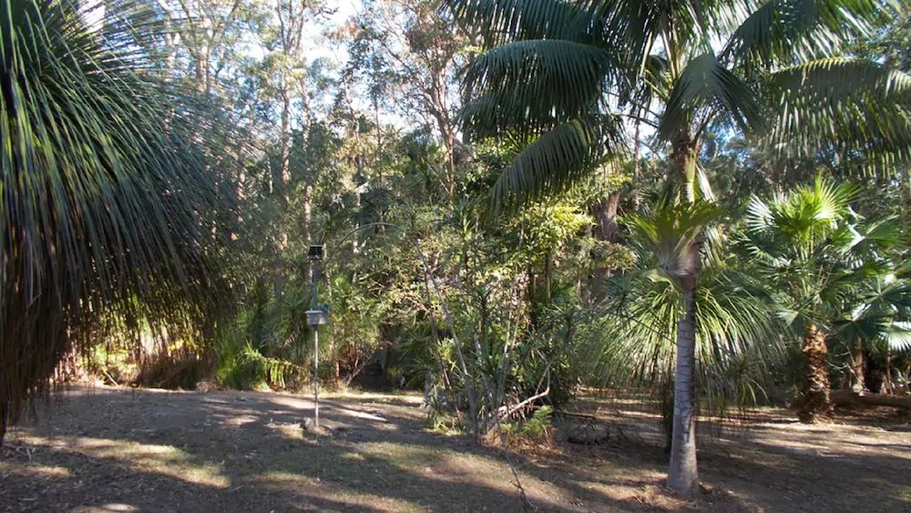 Swr Rainforest Retreat