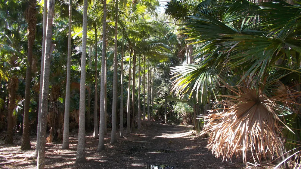 Swr Rainforest Retreat