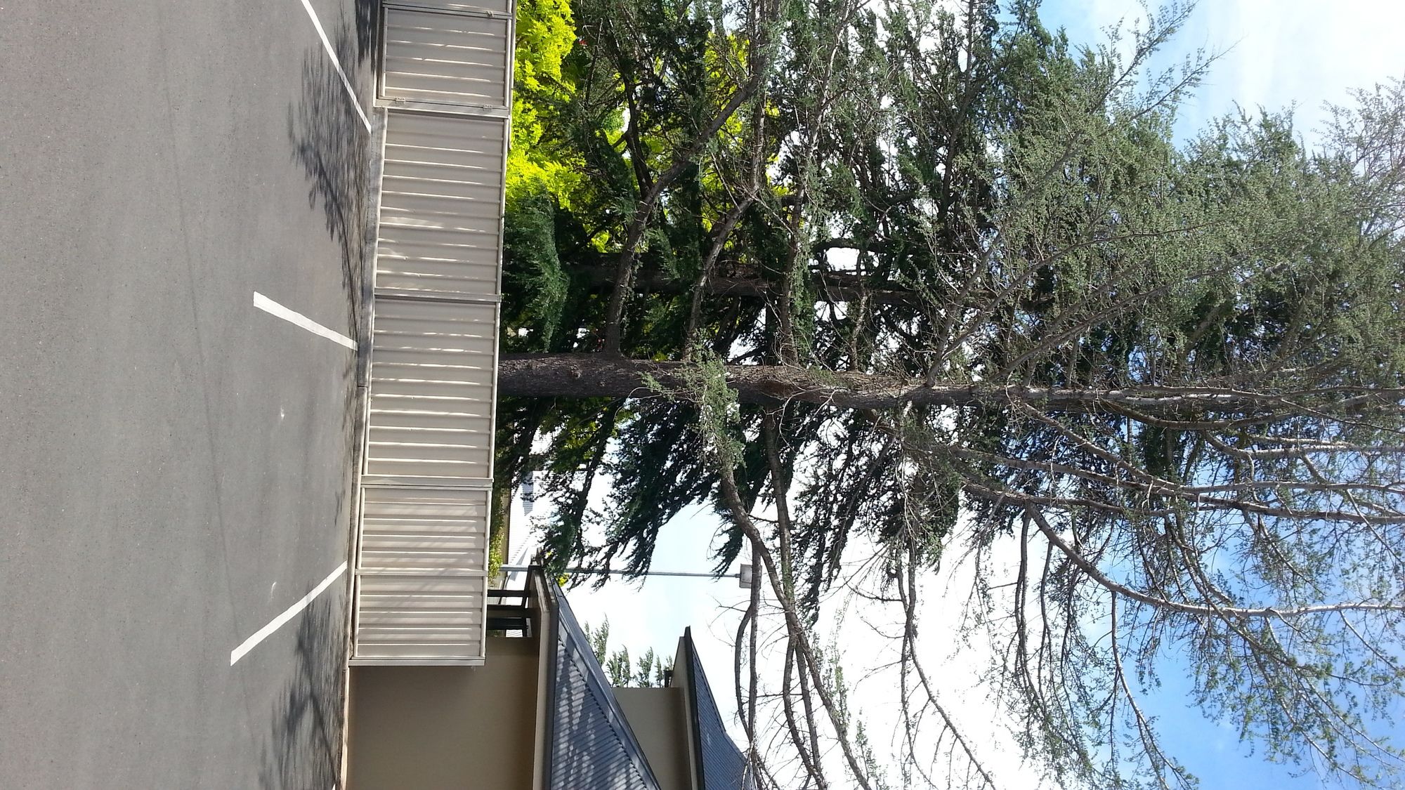 Armidale Pines Motel