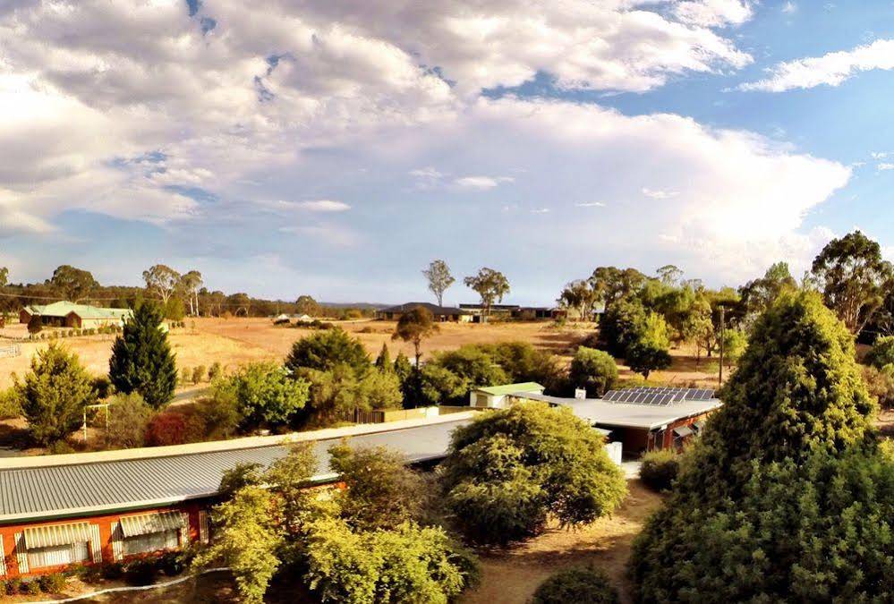 Armidale Rose Villa Motel