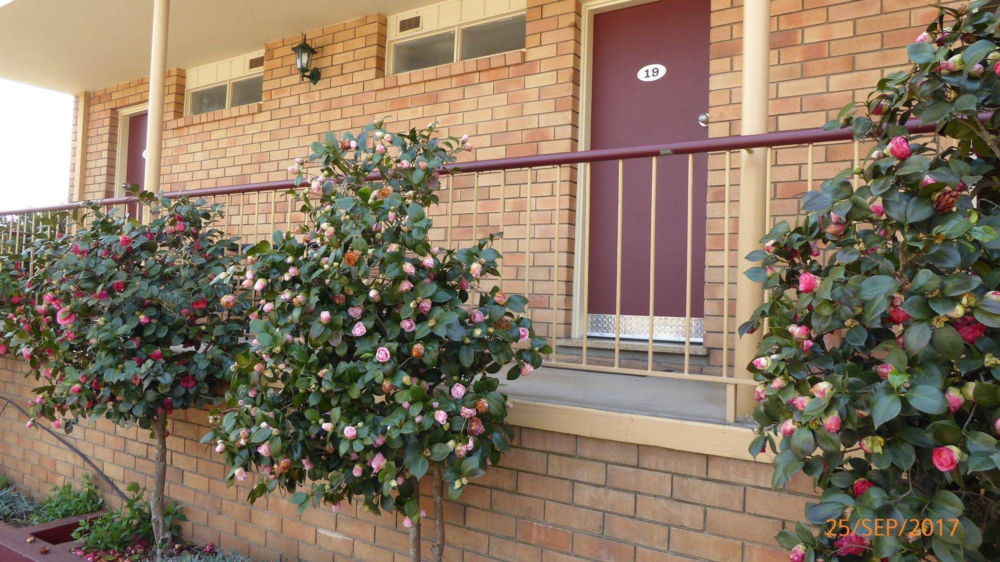 Comfort Inn City Centre Armidale