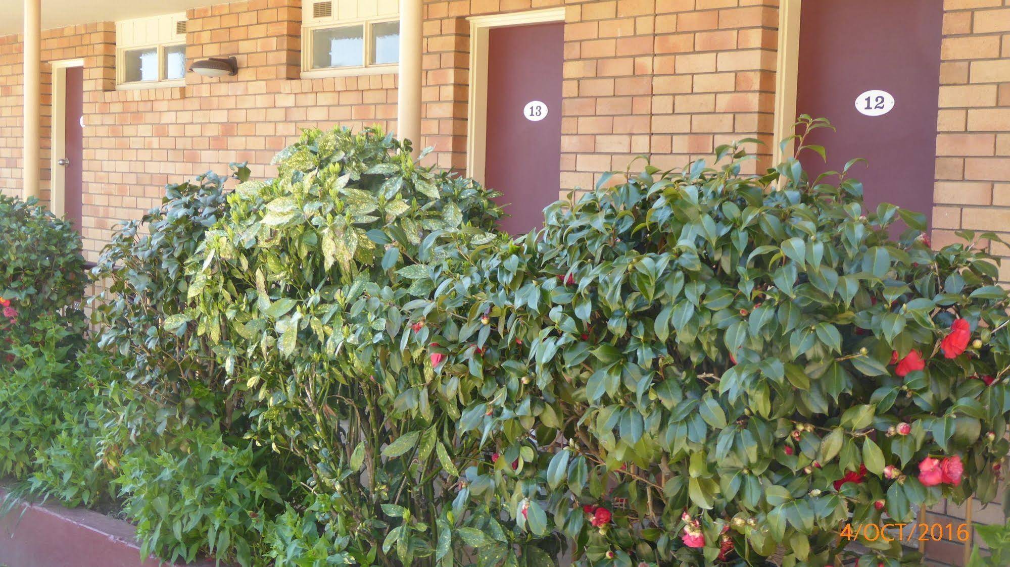 Comfort Inn City Centre Armidale