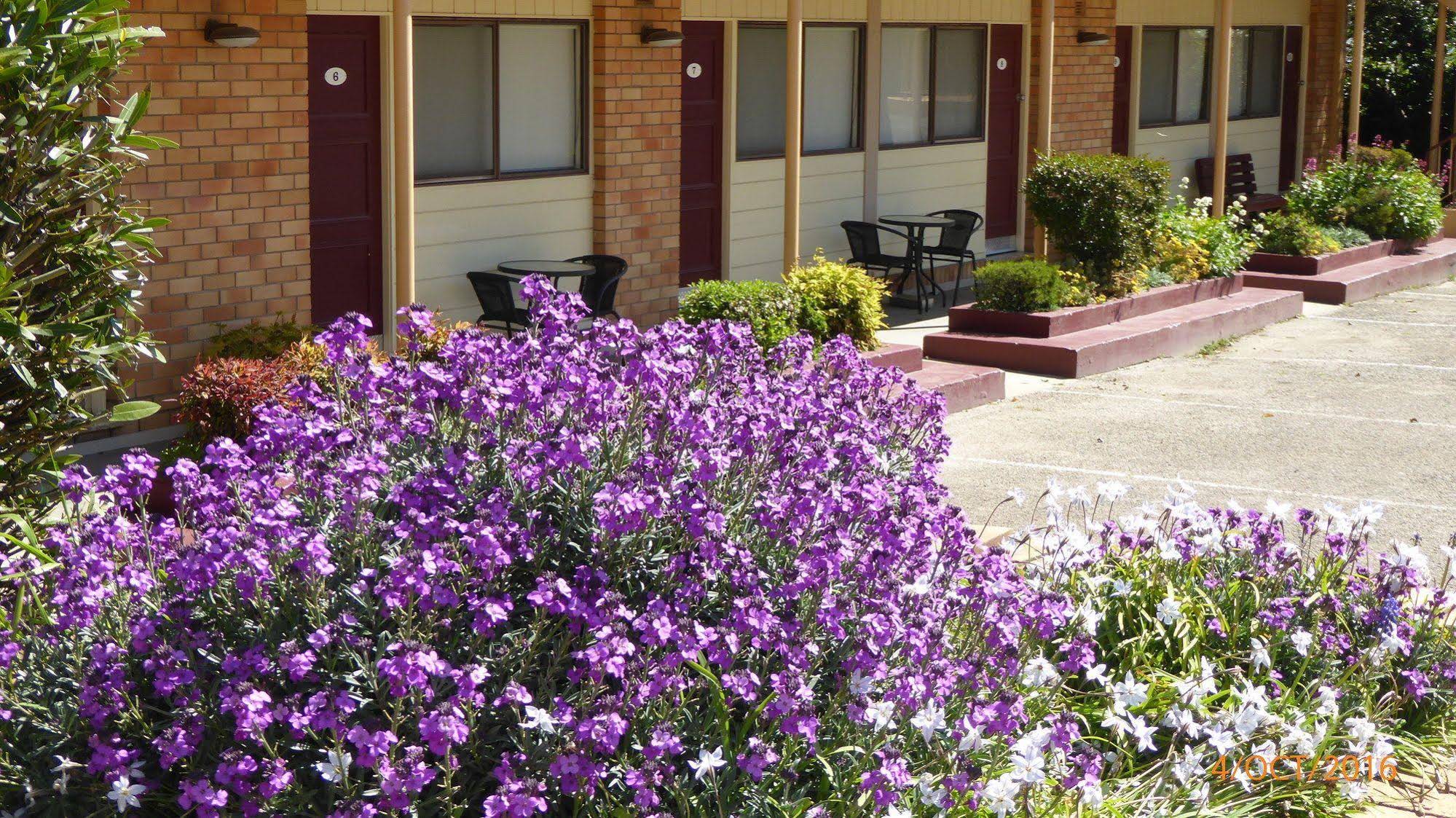 Comfort Inn City Centre Armidale