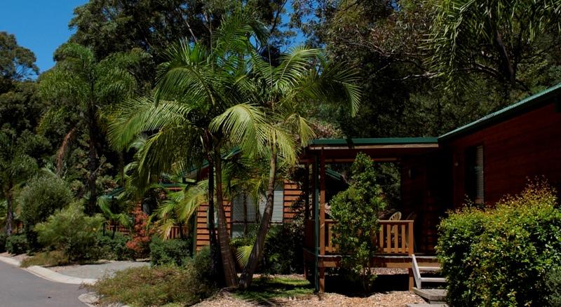 The Palms at Avoca