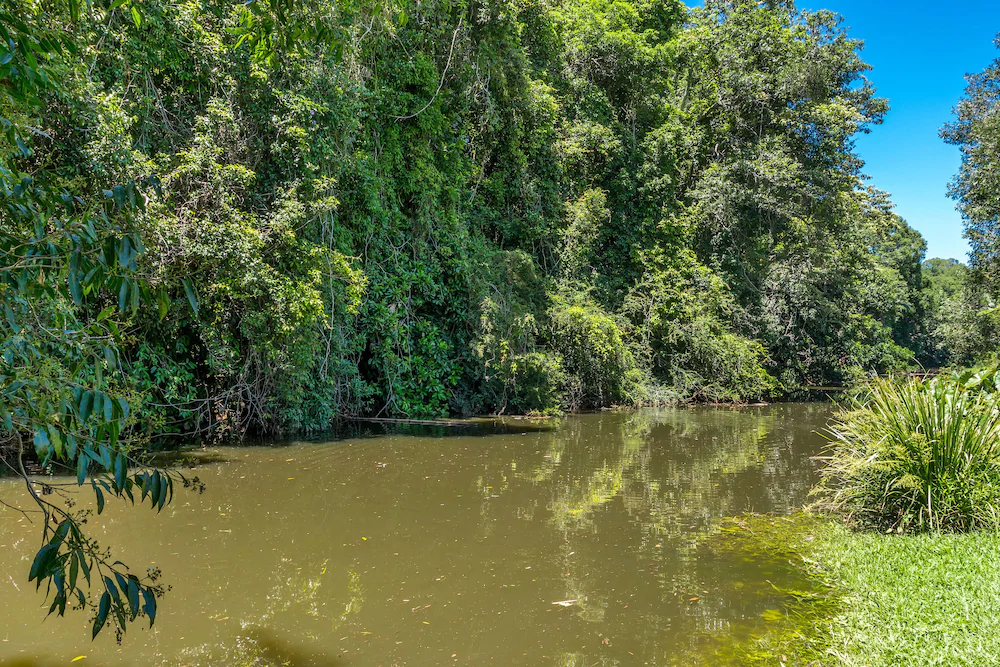 Bailey's on Fernleigh