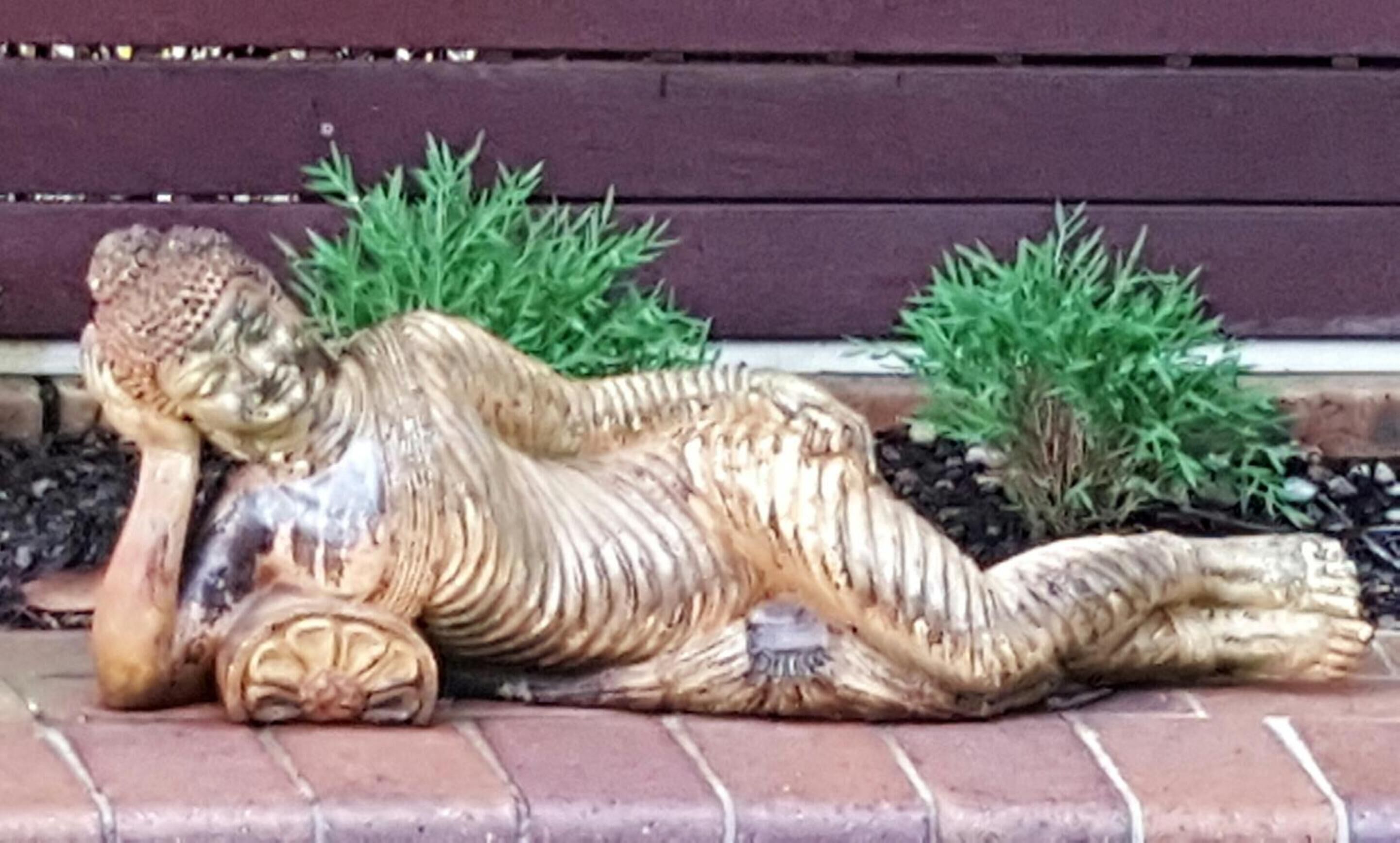 Ballina Palms Boutique Motel