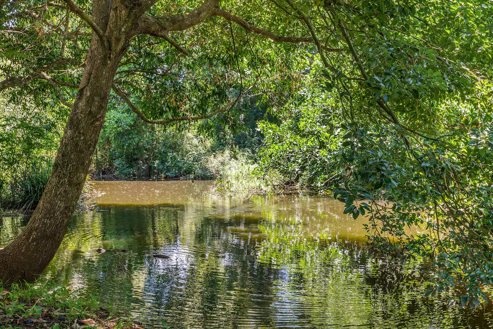 Escape to Baileys on Fernleigh