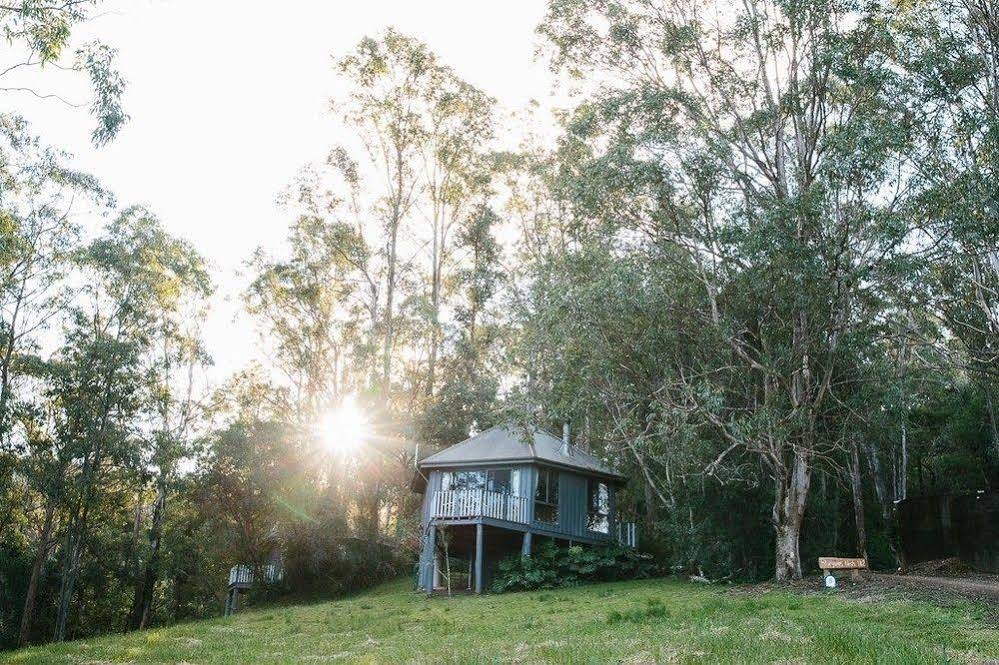 Bluegums Cabins Barrington Tops