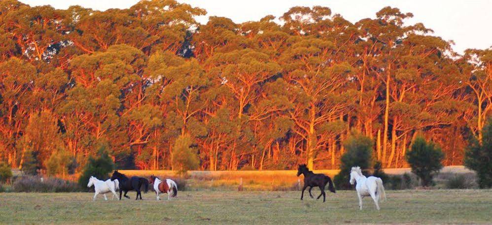 Oaks Ranch and Country Club