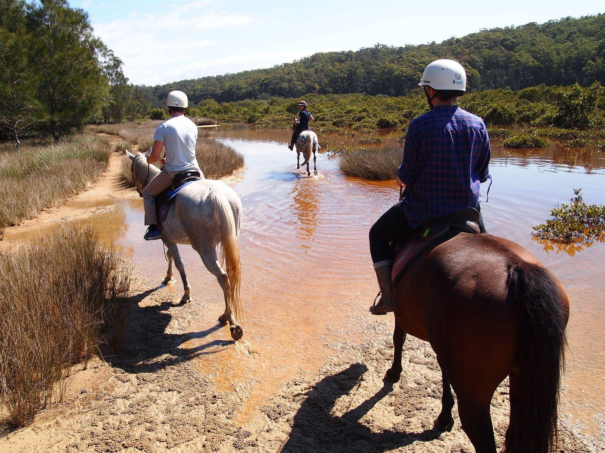 Oaks Ranch and Country Club