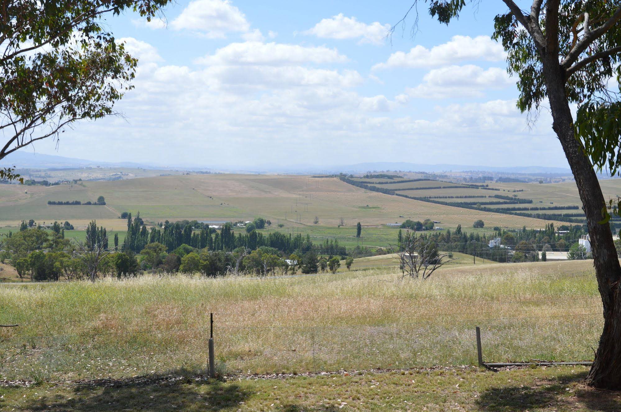 Bathurst Goldfields