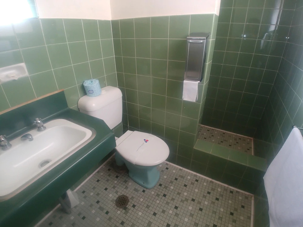 Princes Motel Bega