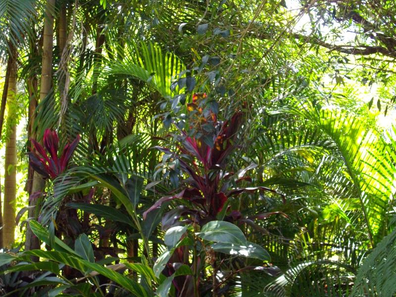 Koompartoo Retreat Cottage Bellingen