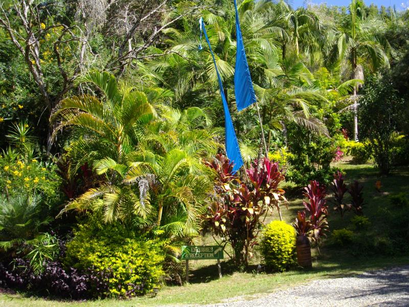 Koompartoo Retreat Cottage Bellingen