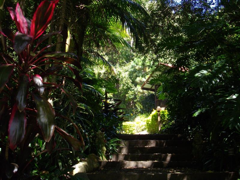Koompartoo Retreat Cottage Bellingen