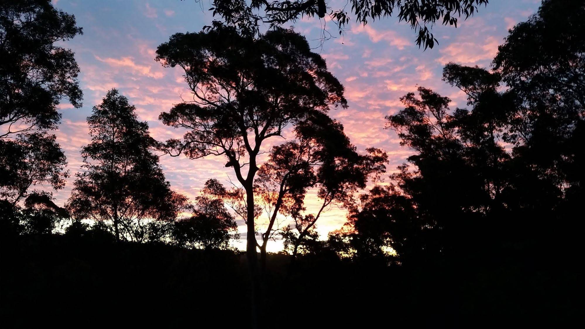 Bellbird Cottage B&B