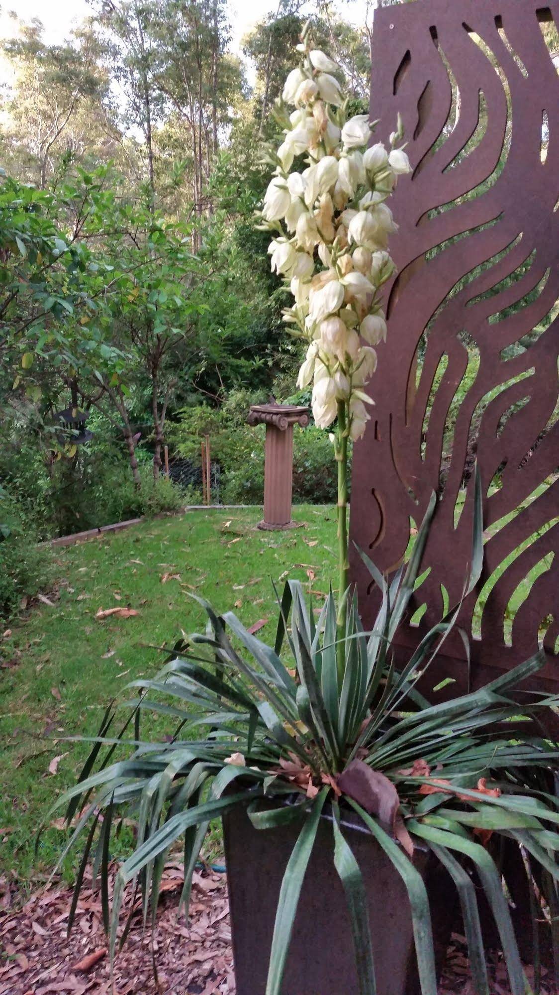 Bellbird Cottage B&B