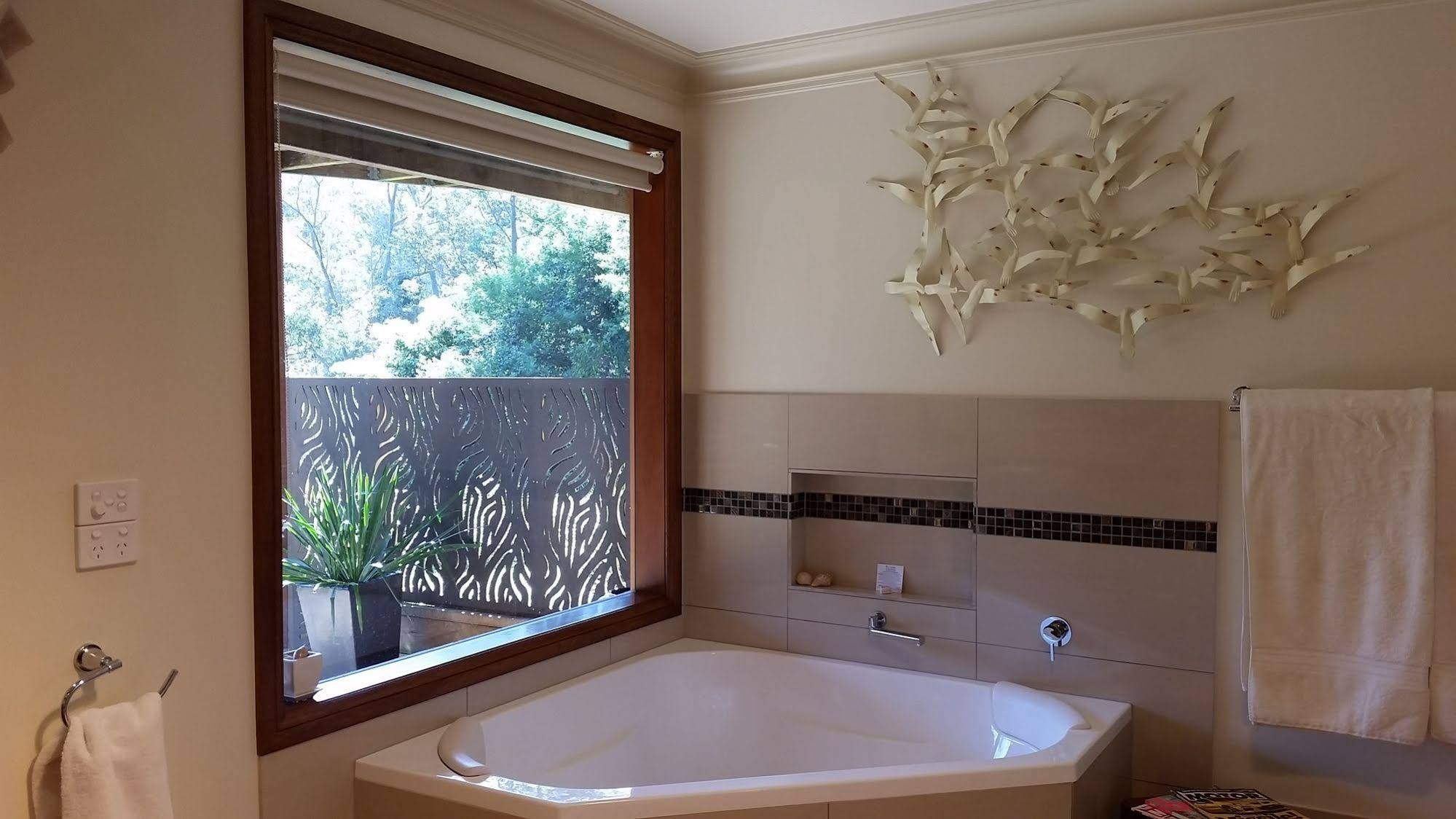 Bellbird Cottage B&B