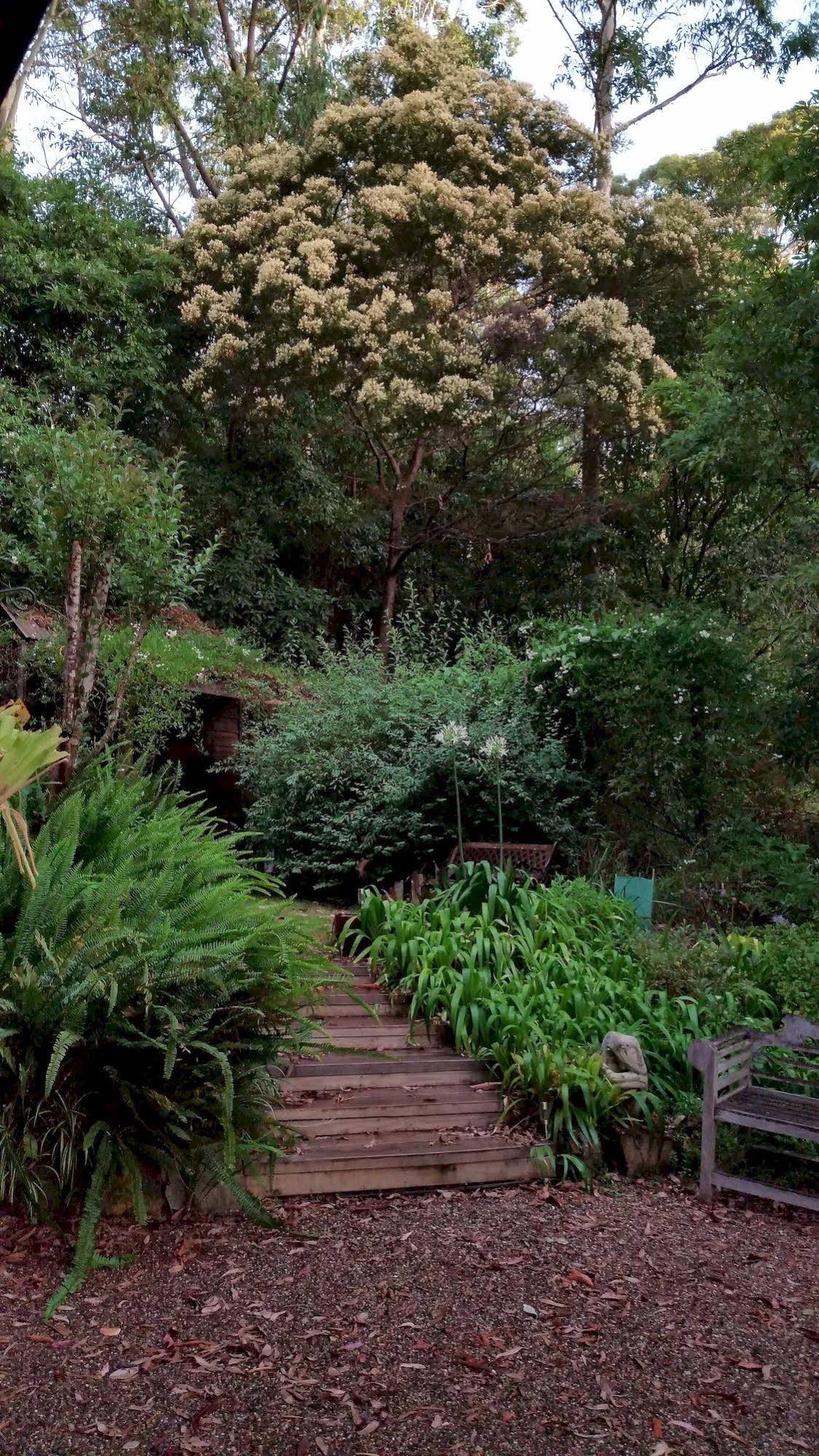 Bellbird Cottage B&B